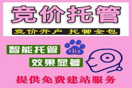 知名SEM竞价代运营公司案例剖析